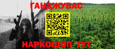 стаф Лесосибирск